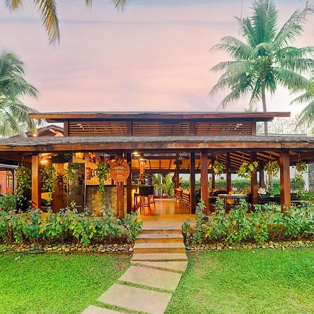 אליבג Tropicana Resort & Spa Alibaug מראה חיצוני תמונה